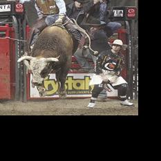 SD bull rider earns Xtreme title | Local Sports | bhpioneer.com