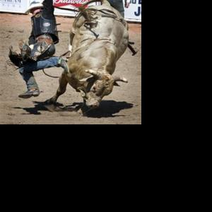 Young learn bullriding fundamentals | Local Sports | bhpioneer.com