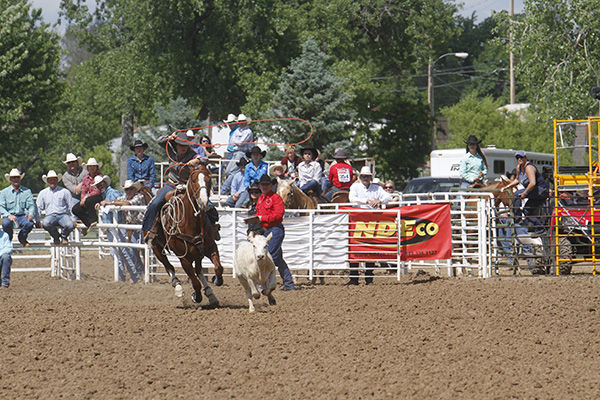 SD HS Rodeo Finals end | Local Sports | bhpioneer.com