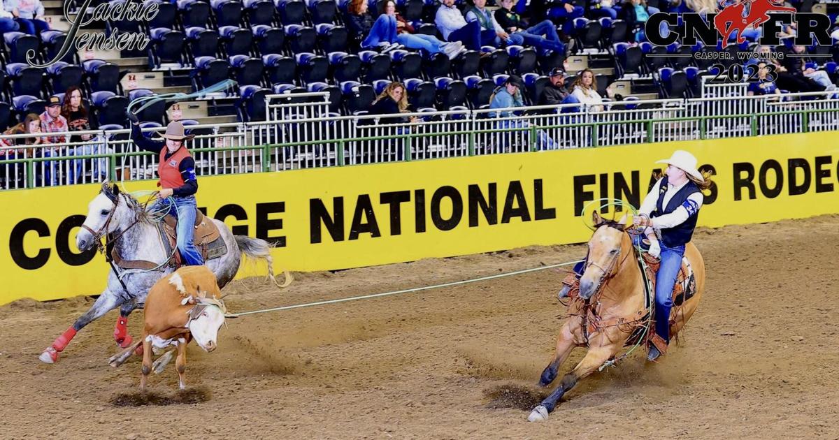 Bhrs Rodeo BHSU Rodeo Spotlight: Jayme Peterson | Local Sports | bhpioneer.com