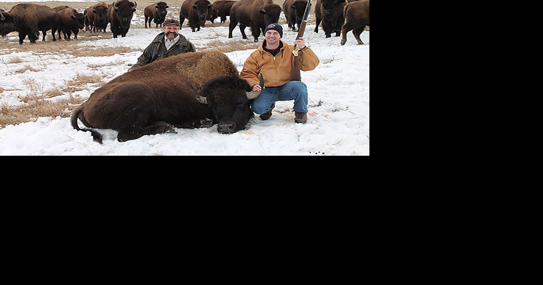 GF&P considers revising bison draw allocations | Local News | bhpioneer.com