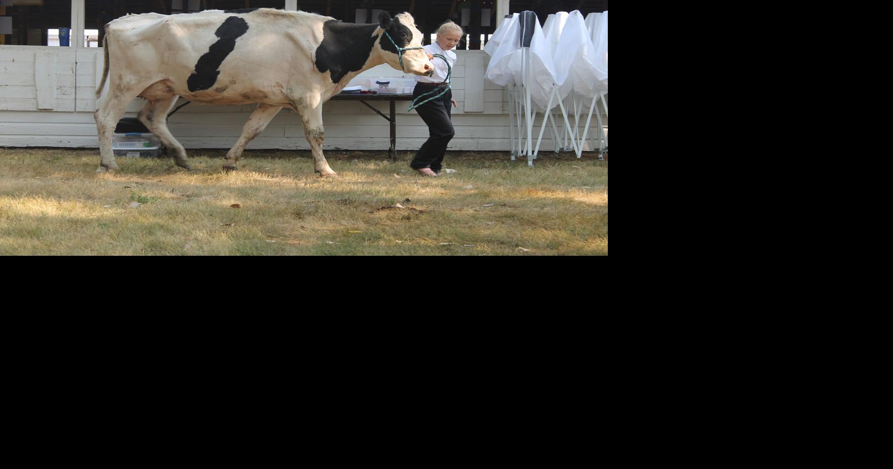 Read moreLawrence, Butte County to cooperatively gravel livestock access at fairgrounds