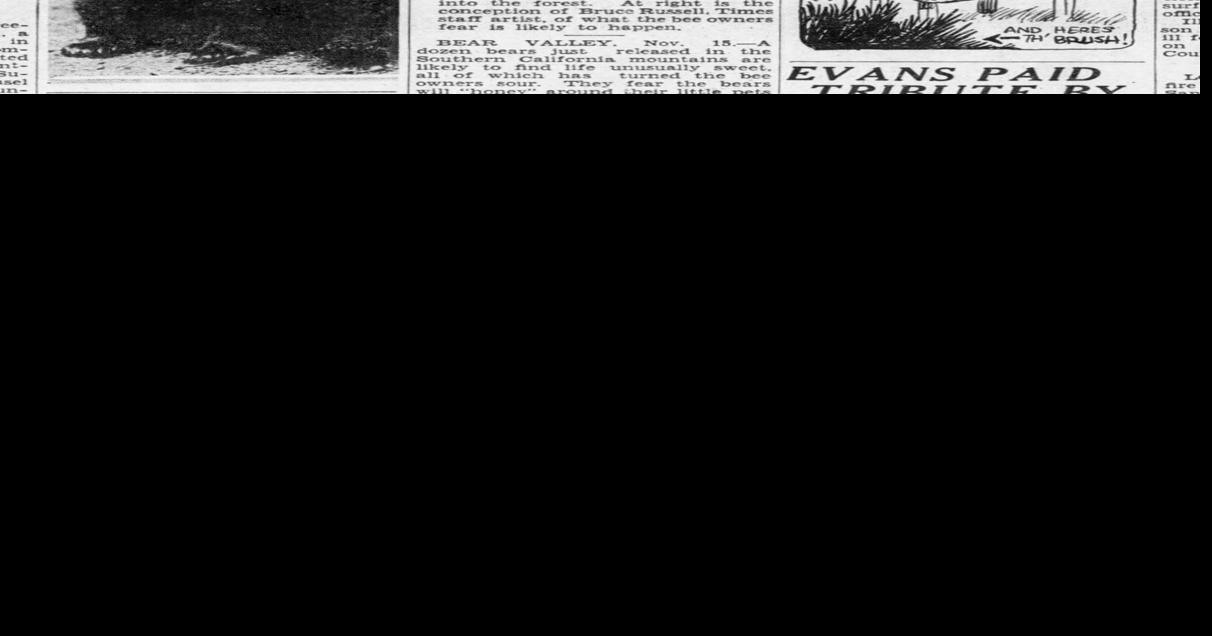 How bears were brought back to Big Bear News