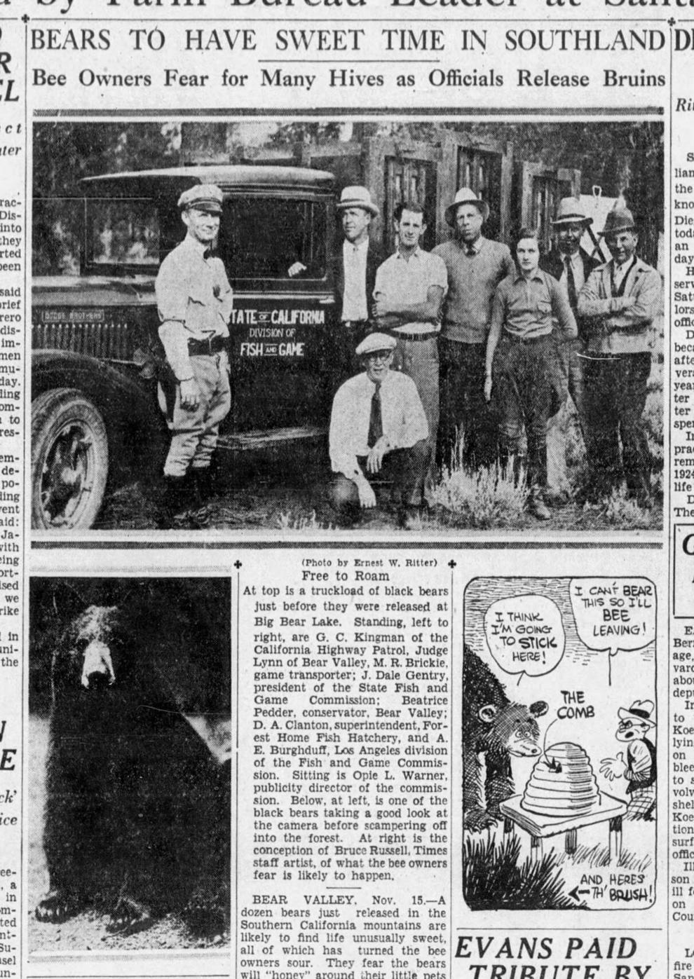 How bears were brought back to Big Bear News