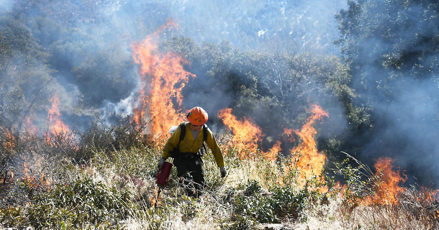 Prescribed fires make a difference in mountain communities - Vimarsana News