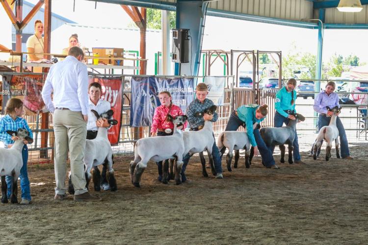 Tony Manolis It's Big Horn County Youth and Open Fair Time! | News ...