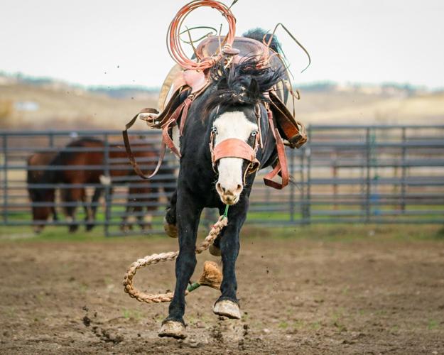 Tony Manolis Real Bird's Fall Buckout! | News | bighorncountynews.com