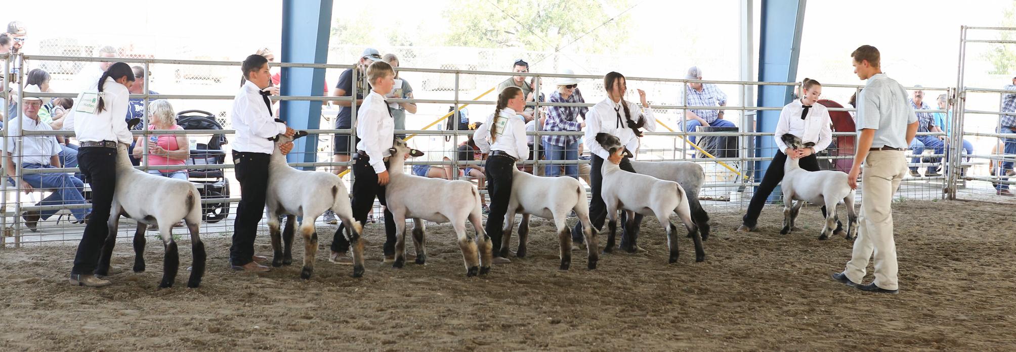 Tony Manolis fair2 | News | bighorncountynews.com