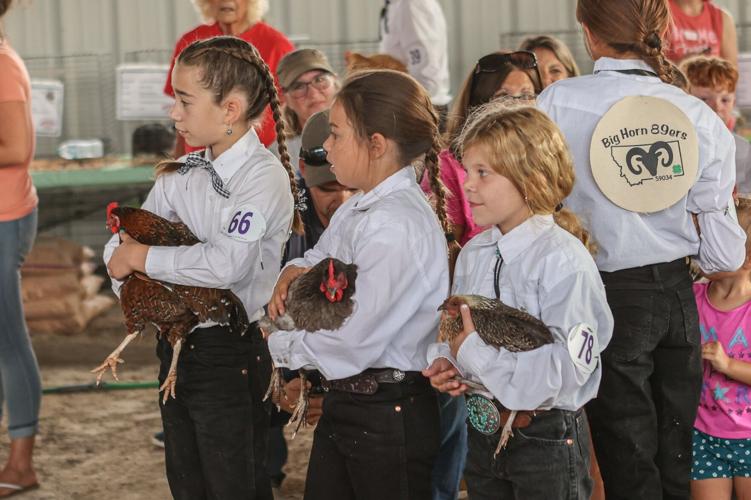 Tony Manolis BHC Youth and Open Fair is Here! | News | bighorncountynews.com