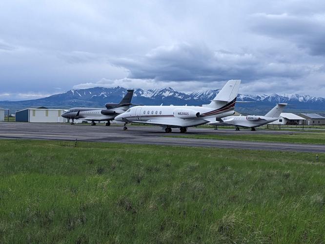 Mice and Rattlesnake Deterrents An Unlikely Solution at the Big Timber