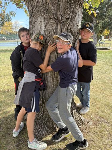 Tree appreciation 101 for Big Timber 6th graders | News ...