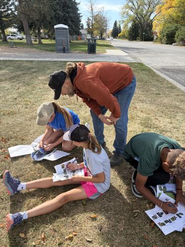 Tree appreciation 101 for Big Timber 6th graders | News ...
