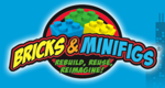 Bricks & Minifigs