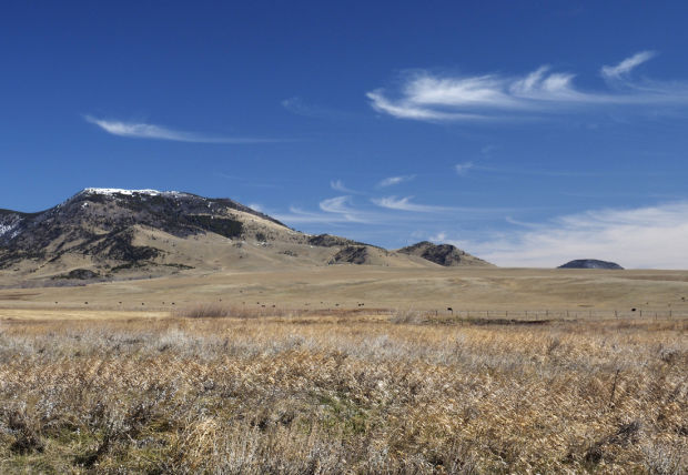 Roadside wanderings in north-central Montana