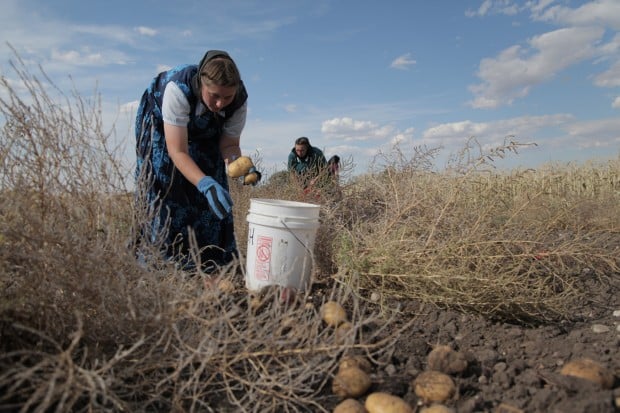 Montana Hutterite colony subject of new documentary | Montana News