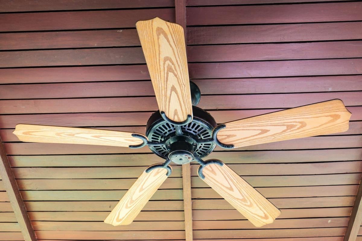 Ceiling fans