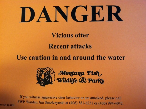 River otter attacks woman