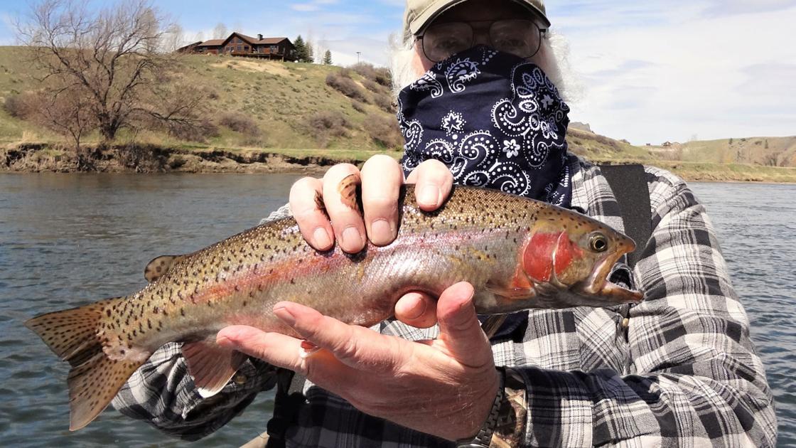 Fishing Report Action Is Heating Up On Firehole River Outdoors