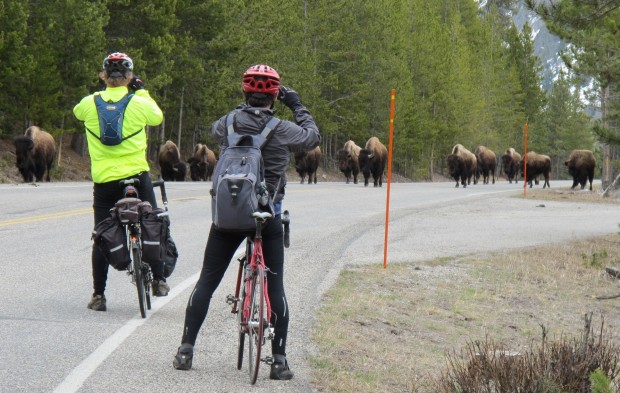 Biking store in yellowstone