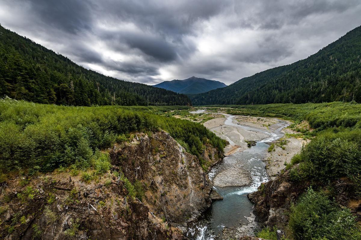 Tribe catches coho salmon on free-flowing Elwha River, a first since dam  removals