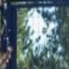 Relax In Grizzly Country With A Bear Tested Cooler Montana News Billingsgazette Com