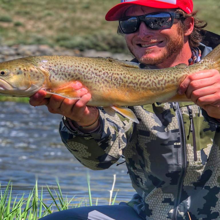 Wyoming S Tiger Trout Fight Well Grow Big Outdoors Billingsgazette Com