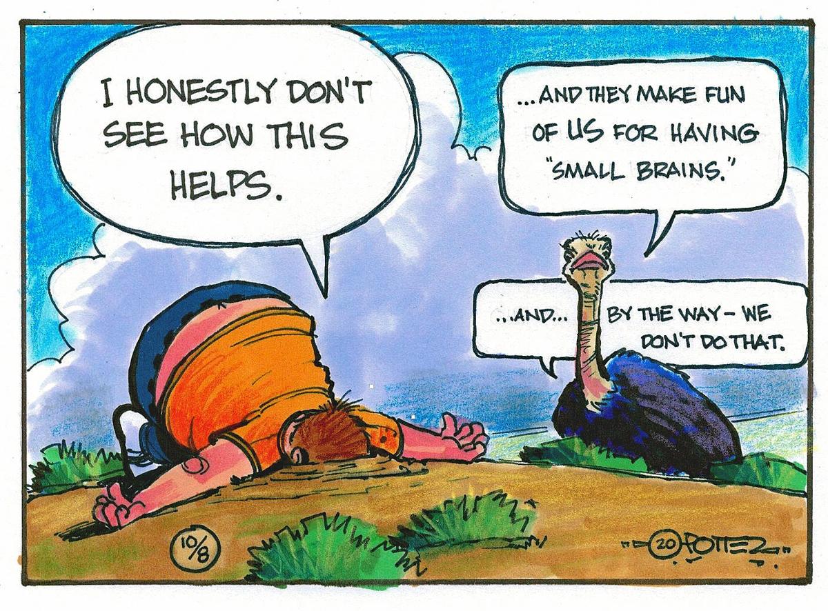 Ostriches