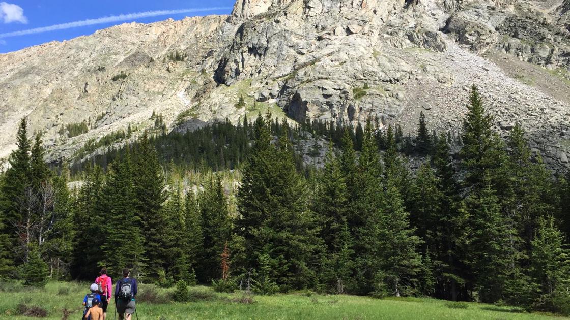 Distinctly Montana