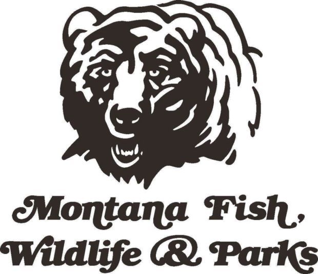 Montana Fish, Wildlife and Parks officials to update goals, vision