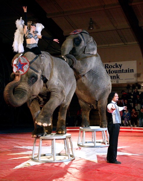 Feature photos: Shrine Circus | Local News | billingsgazette.com