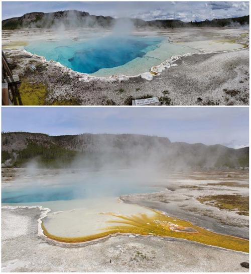Pigment changes