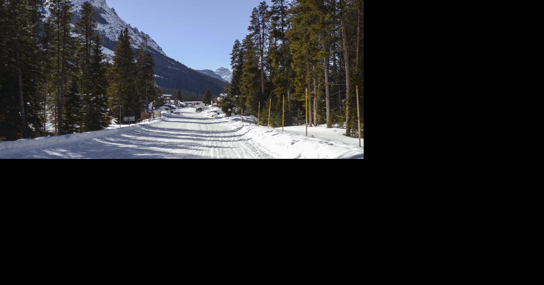 Logging project near Yellowstone withdrawn by Gardiner District ranger