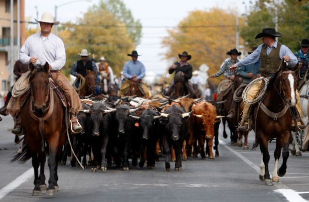 Harvestfest, cattle drive combine for a good time downtown