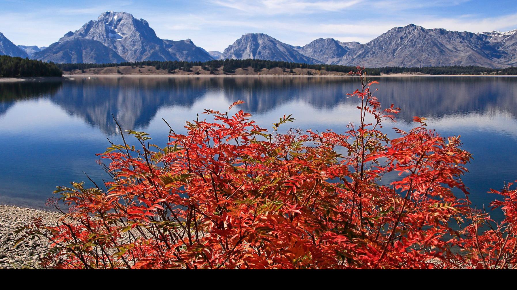 Why Fall Is Breathtaking In Yellowstone And Grand Teton Parks