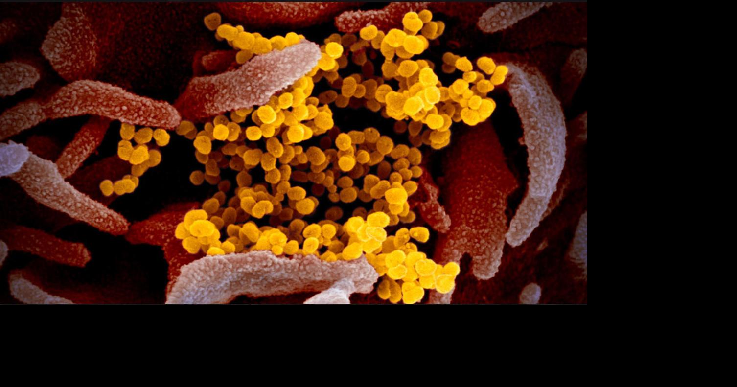 Free at-home COVID-19 test kits available Tuesday, Jan. 18