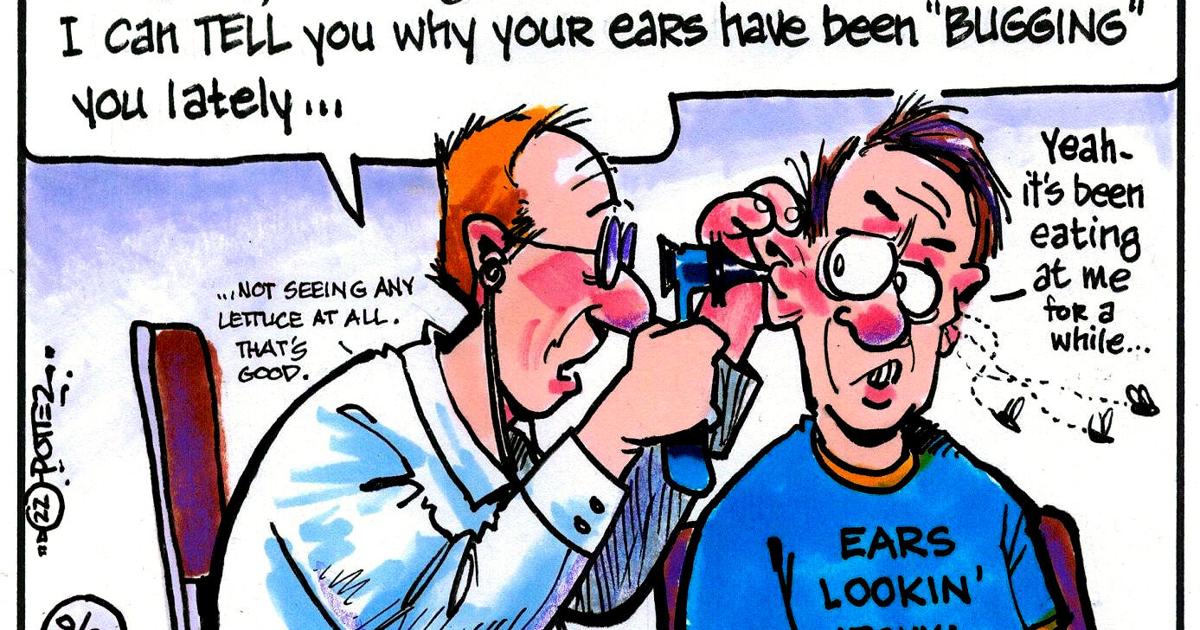 Wigging out over earwigs is not unusual