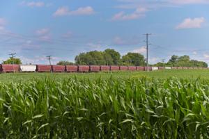 US rail fuel surcharges on grain hit record highs, squeezing farmers in harvest season