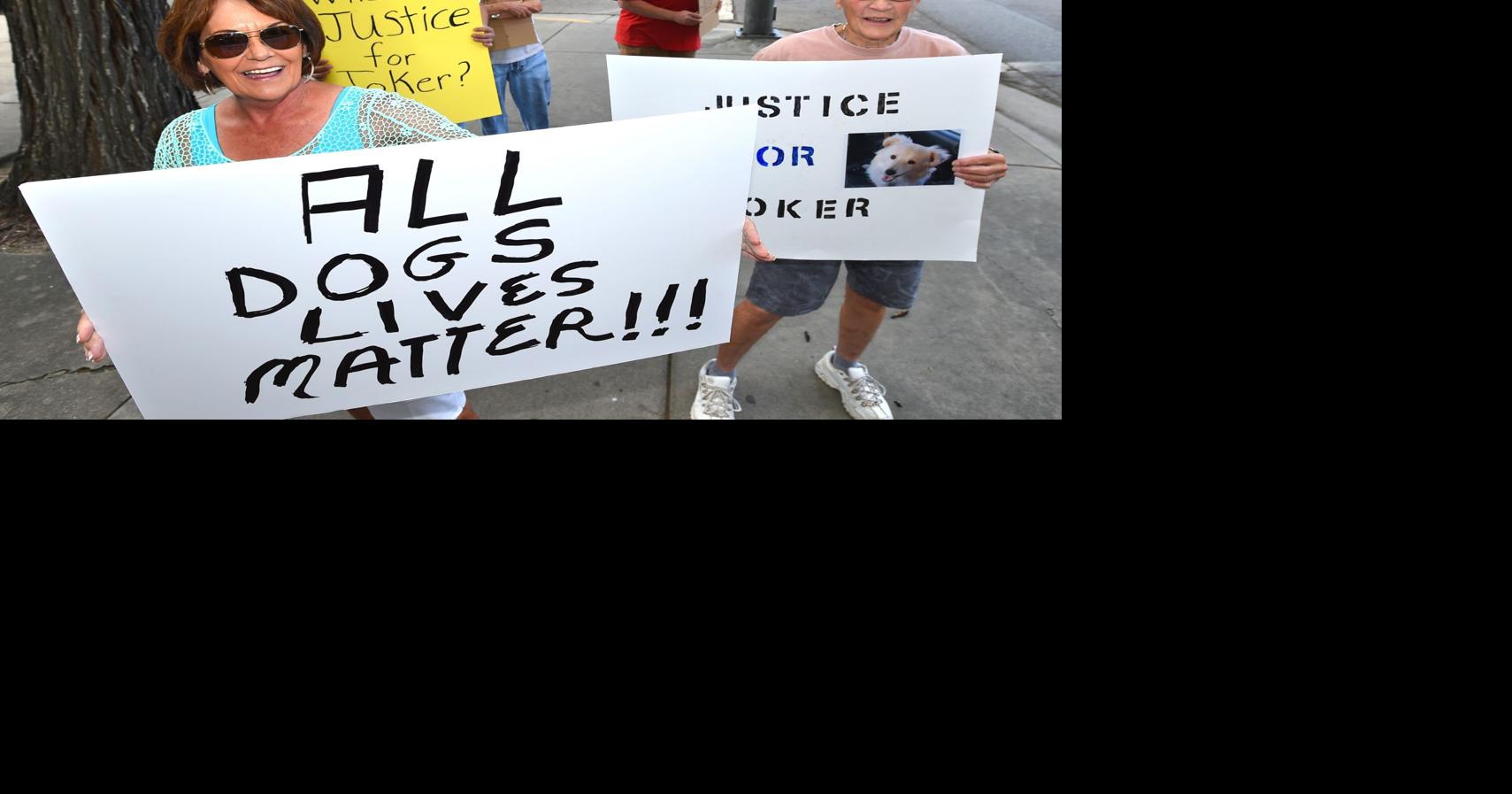 Animal lovers protest sentence for man who beat dog to death