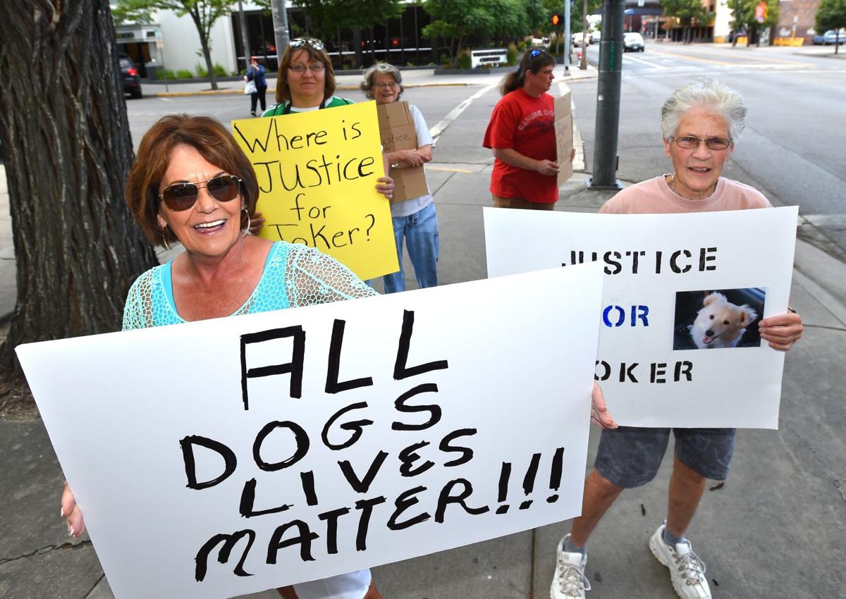 animal lovers protest sentence for man who beat dog to