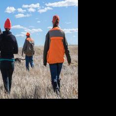 Wyoming bird farms fight avian flu to release 29,000 pheasants