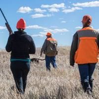 Wyoming bird farms fight avian flu to release 29,000 pheasants Wyoming bird farms fight avian flu to release 29,000 pheasants