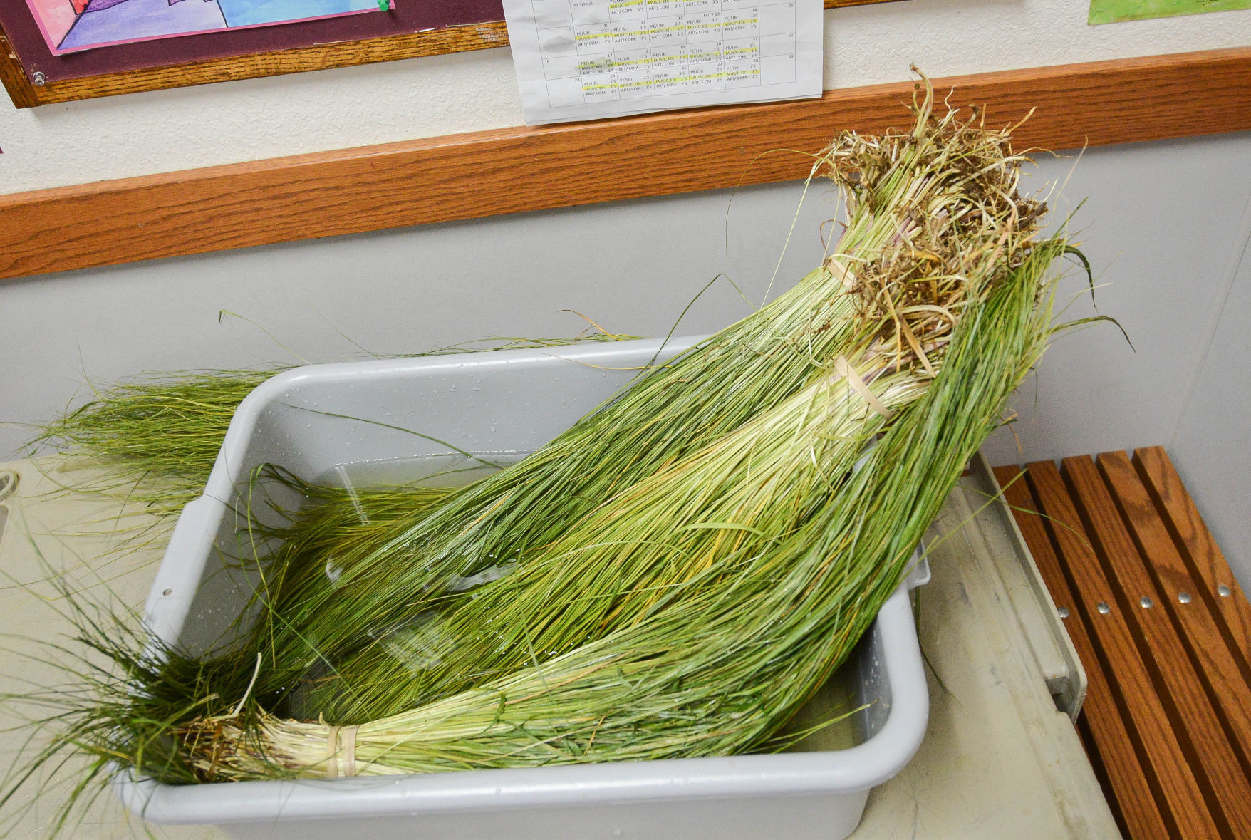 braiding sweetgrass for young adults
