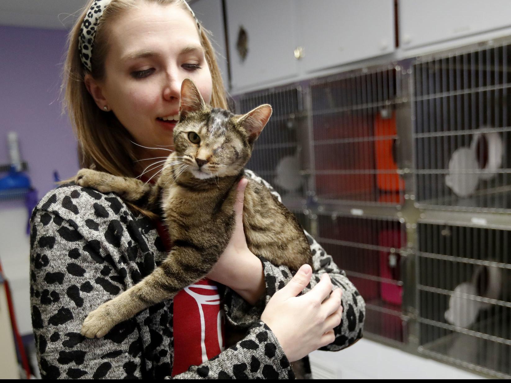 Billings Animal Shelters See Increase In Fostering Dip In