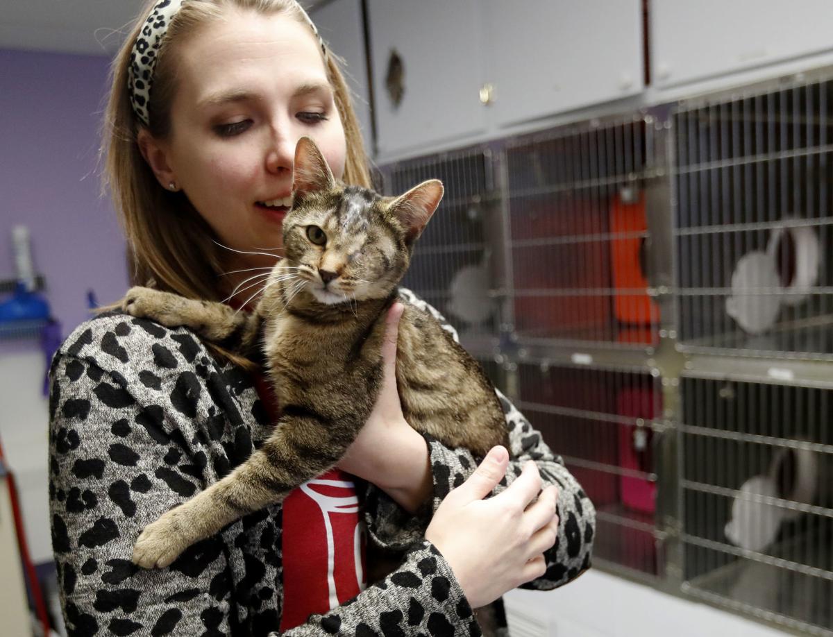Billings Animal Shelters See Increase In Fostering Dip In
