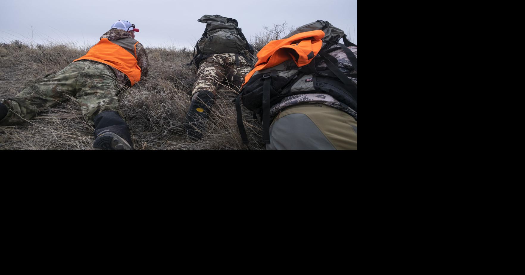 American Prairie pauses bison hunt following BLM rejection of grazing leases