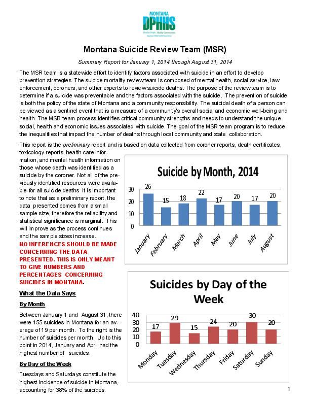 Suicide Review Team Summary