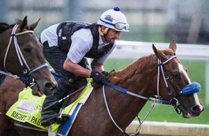 2026 Kentucky Derby contender Right To Party works during a morning training session during Kentucky Derby week. The horse is