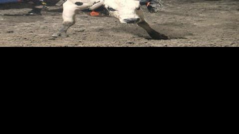 Bull Rider Beau Hill Getting Closer To A More Normal Life Rodeo Billingsgazette Com