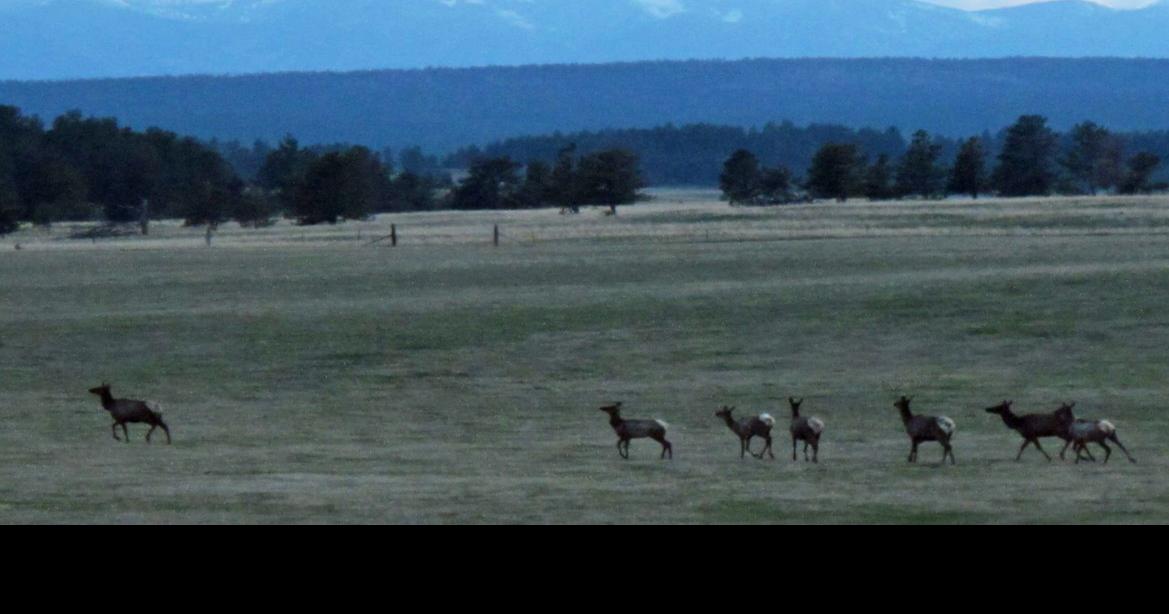 Dan and Farris Wilks consider opening 16,000 acres to hunting