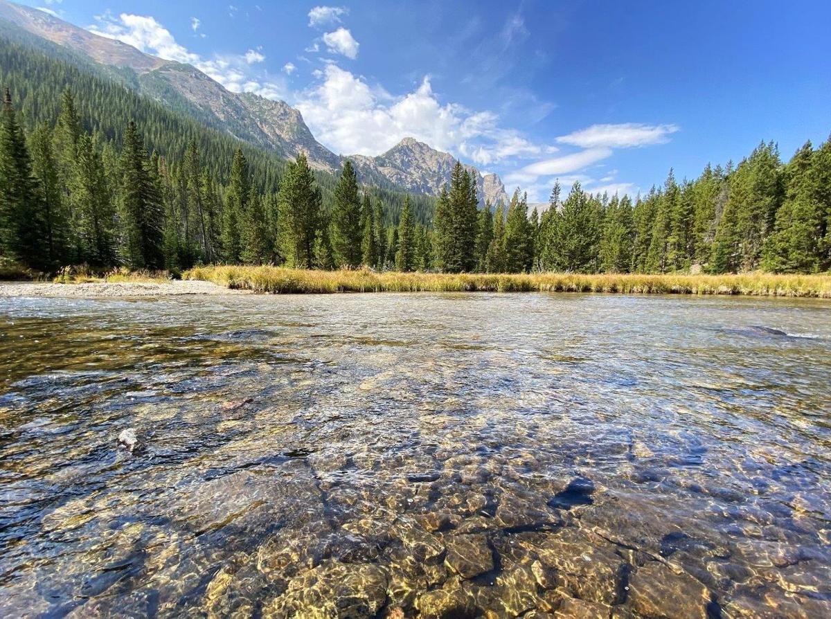 Custer Gallatin National Forest